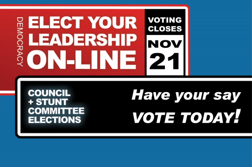 2013 Online Elections Graphic
